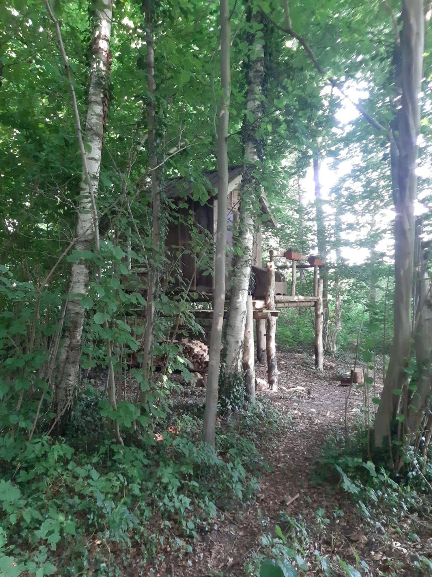 Baumhausnaechte 호텔 라드베르겐 외부 사진