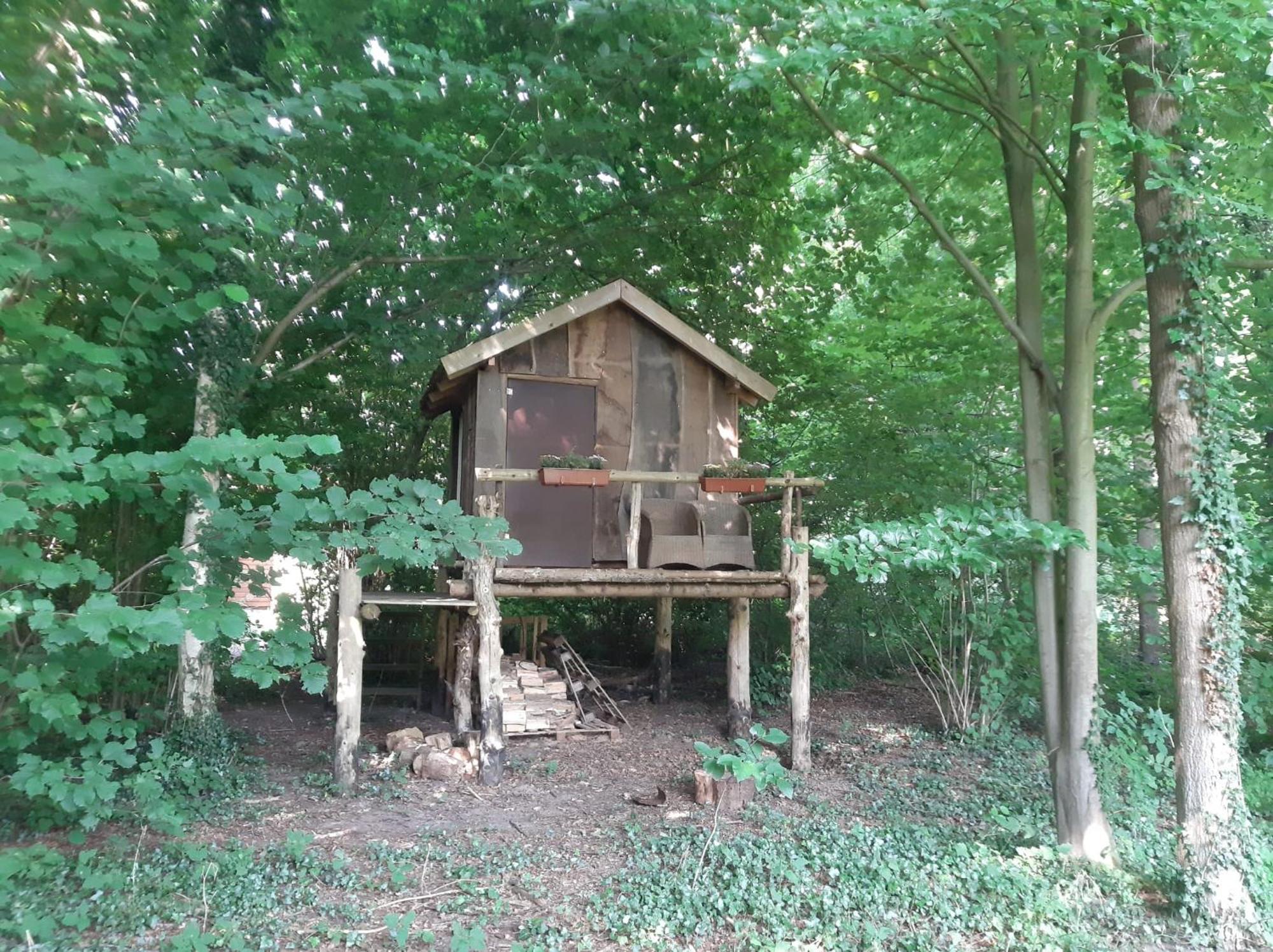 Baumhausnaechte 호텔 라드베르겐 외부 사진